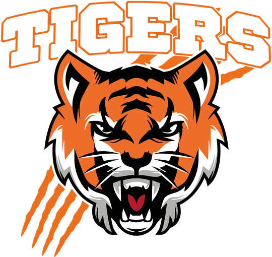 TEST (DTF Transfers By Size) TEST №2