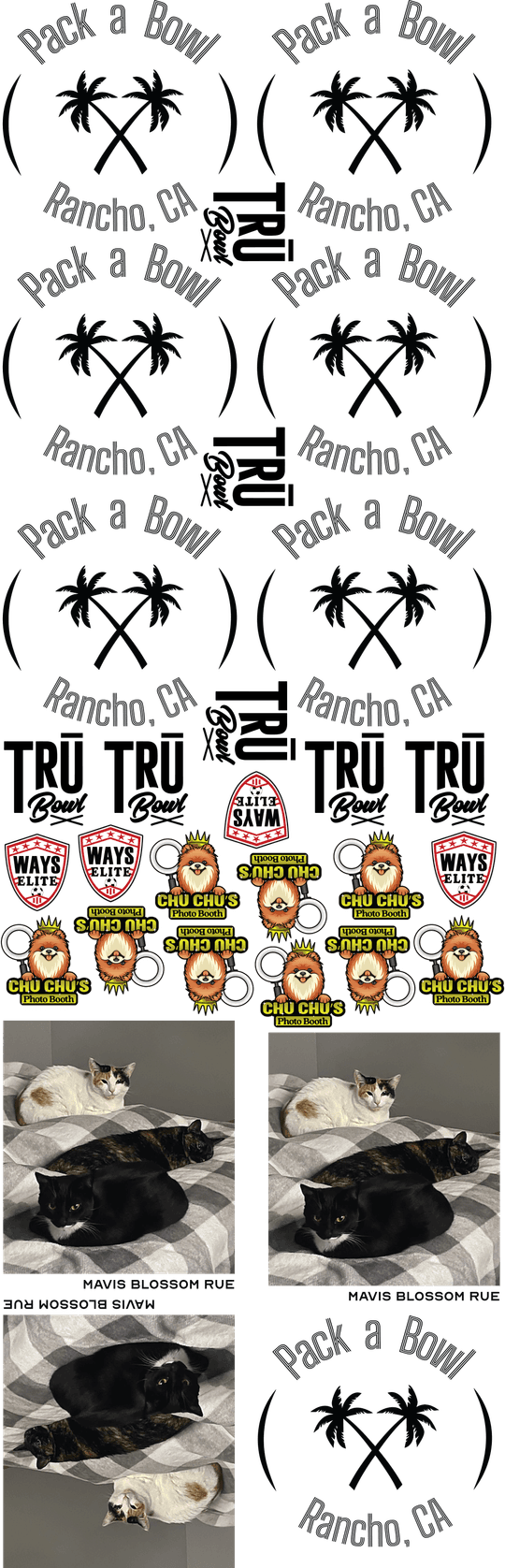 TEST (DTF Transfers By Size) TEST