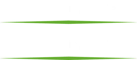 DTF Transfers By Size 4