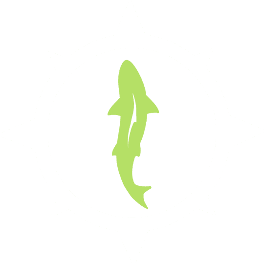 DTF Transfers By Size 2