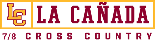 DTF Transfers By Size