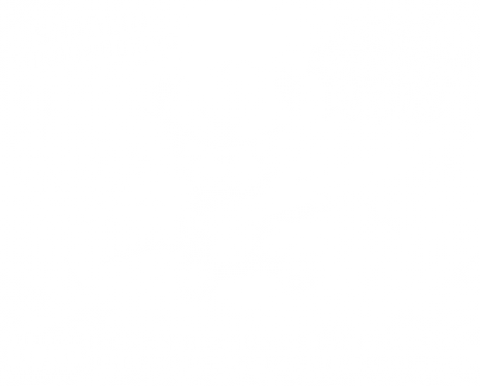 DTF Transfers By Size