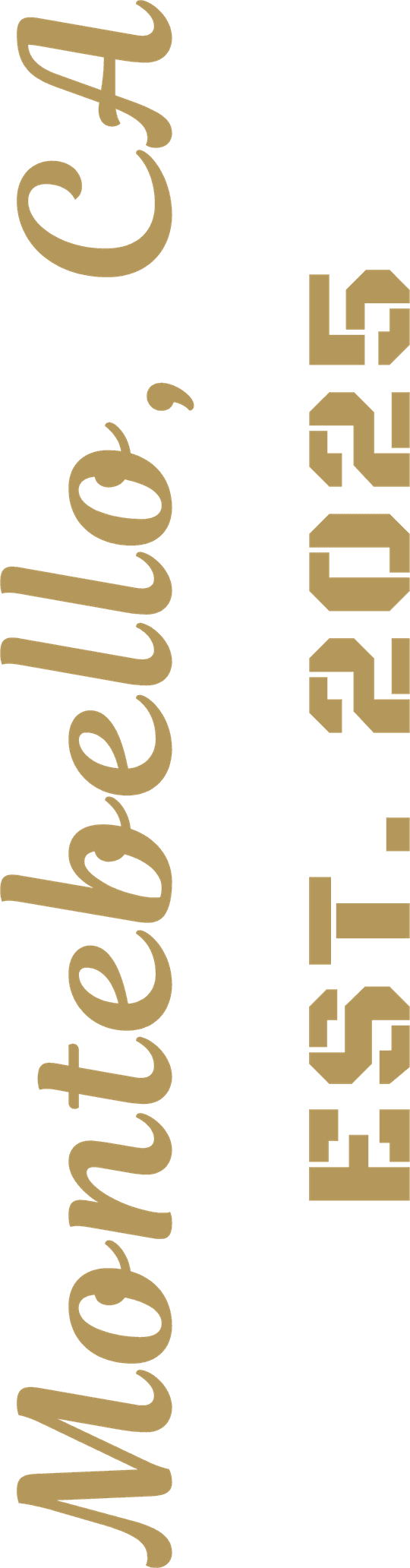 DTF Transfers By Size 2