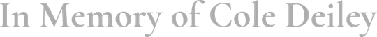 DTF Transfers By Size